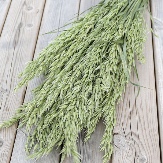 Oat Bunch