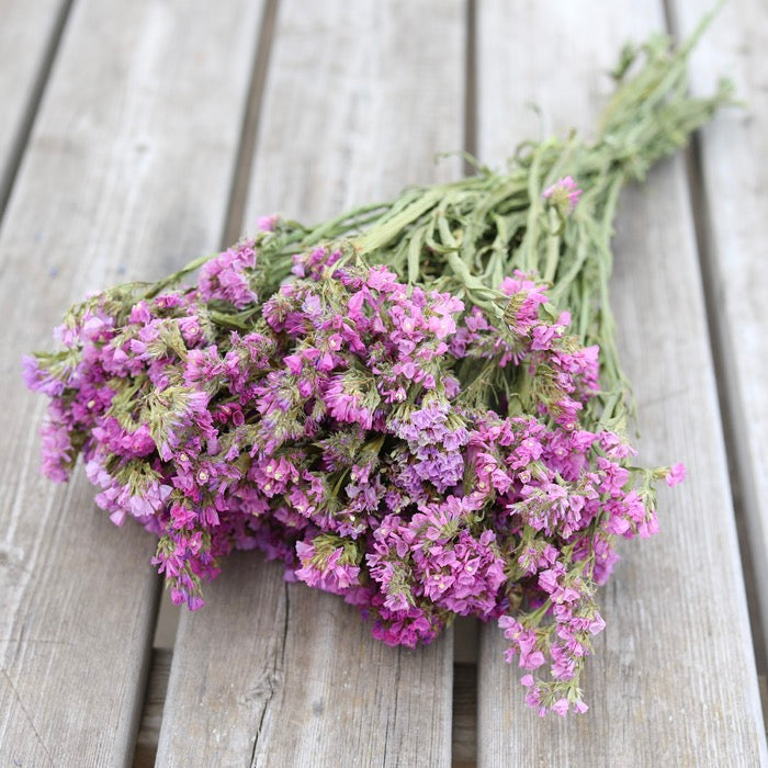 Lilac Statice Bunch