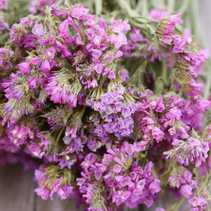 Lilac Statice Bunch