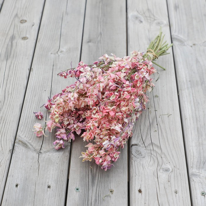 Mixed Pink Delphinium Bunch