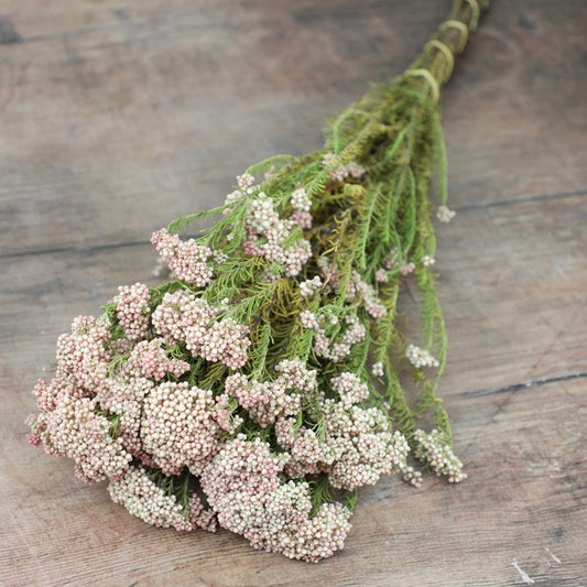 Pink Rice Flower Bunch