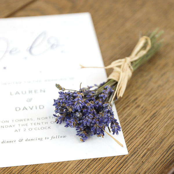 Mini Lavender Bundle
