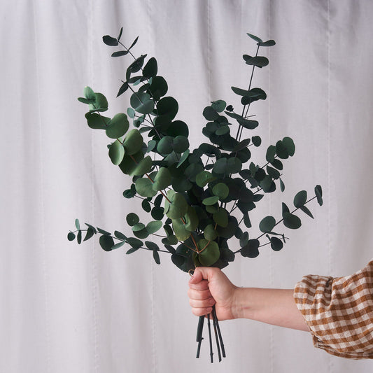 Preserved Eucalyptus Bunch
