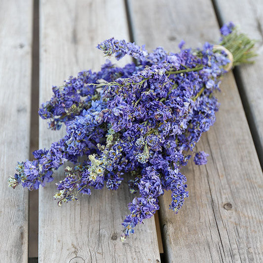 Amethyst Delphinium Bunch