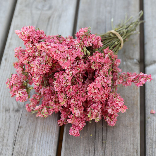 Cherry Blossom Delphinium Bunch