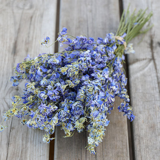 Frosted Blue Delphinium Bunch