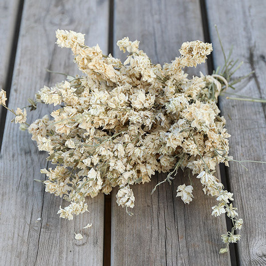 Icing Sugar Delphinium Bunch