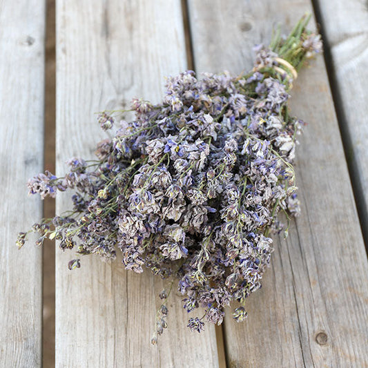 Lady Grey Delphinium Bunch