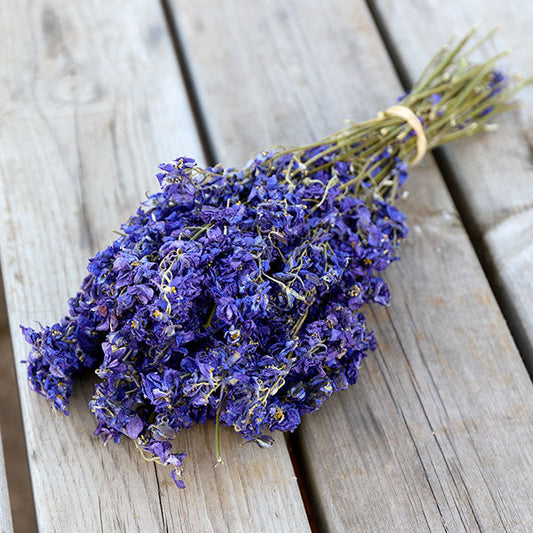 Midnight Bloom Delphinium Bunch