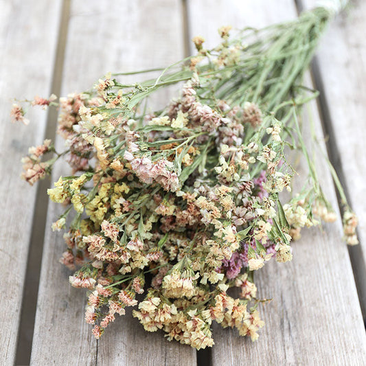 Apricot Statice Bunch