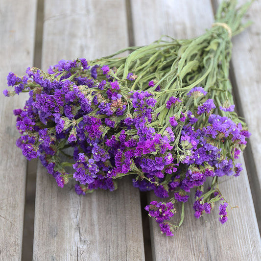 Purple Statice Bunch