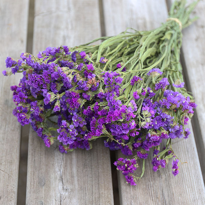 Purple Statice Bunch