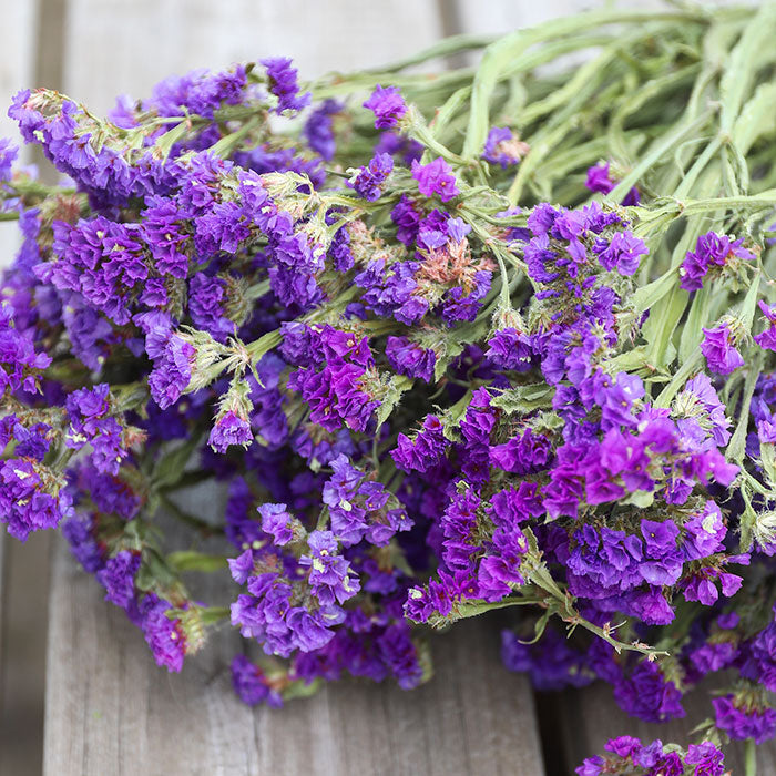 Purple Statice Bunch