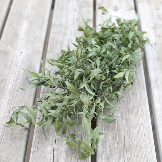 Natural Ruscus Bunch