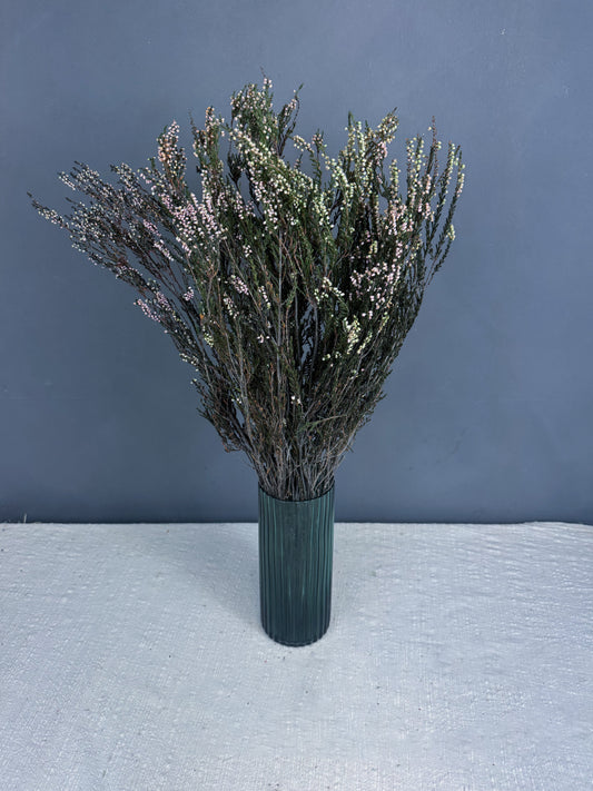 Dried Heather