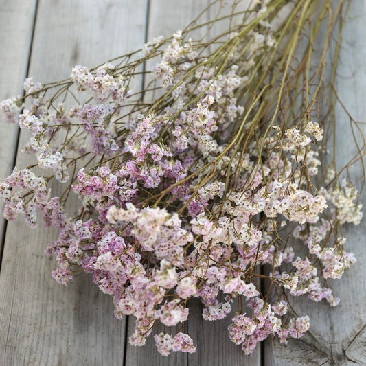 Pink Limonium Bunch